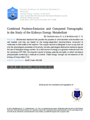 Combined Positron-Emission and Computed Tomography in the Study of the Kidneys Energy Metabolism