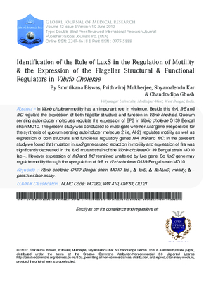 Identification of the Role of LuxS in the Regulation of Motility 