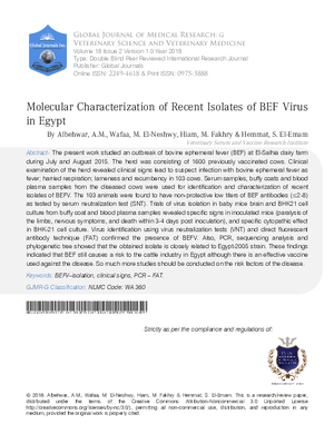 Molecular Characterization of Recent Isolates of BEF Virus in Egypt