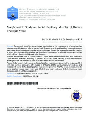 Morphometric Study on Septal Papillary Muscles of Human Tricuspid Valve