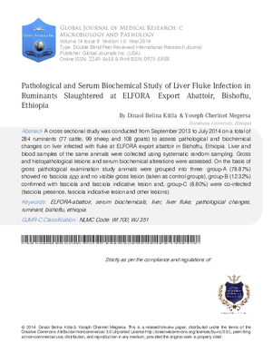 Pathological and Serum Biochemical Study of Liver Fluke Infection in Ruminants Slaughtered at ELFORA Export Abattoir, Bishoftu, Ethiopia