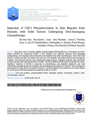 Induction of CDC2 Phosphorylation in Skin Biopsies from Patients with Solid Tumors Undergoing DNA-Damaging Chemotherapy
