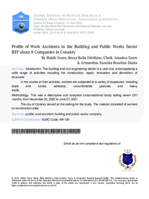 Profile of Work Accidents in the Building and Public Works Sector BTP about 8 Companies in Conakry