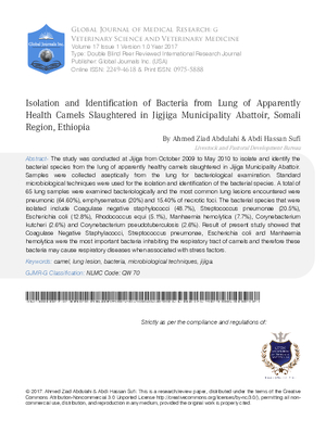Isolation and Identification of Bacteria from Lung of Apparently Health Camels Slaughtered in Jigjiga Municipality Abattoir, Somali region, Ethiopia