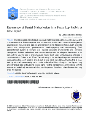 Recurrence of Dental Malocclusion in a Fuzzy Lop Rabbit: A Case Report