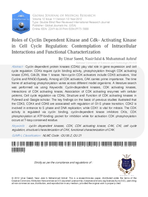 Roles of Cyclin Dependent Kinase and CDK-Activating Kinase in Cell cycle Regulation: Contemplation of Intracellular Interactions and Functional Characterization