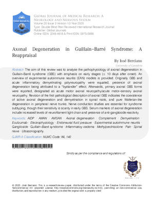 Axonal Degeneration in Guillain#x2013;Barr#xE9; Syndrome: A Reappraisal