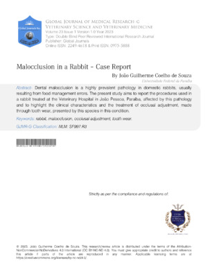 Malocclusion in a Rabbit - Case Report