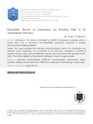 Plausibility Review on Lipoprotein(a) Infection Path of S2 Autoimmune Pathogen