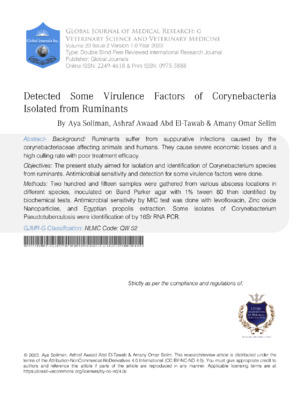 Detected some virulence factors of Corynebacteria isolated from ruminants