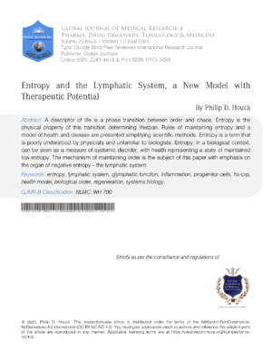 Entropy and the Lymphatic System, a New Model with Therapeutic Potential