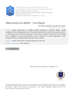 Malocclusion in a Rabbit – Case Report